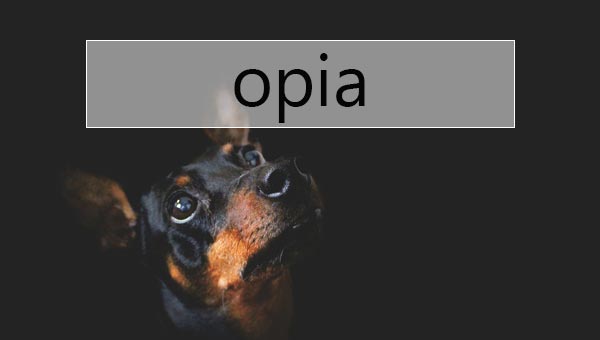 Opia