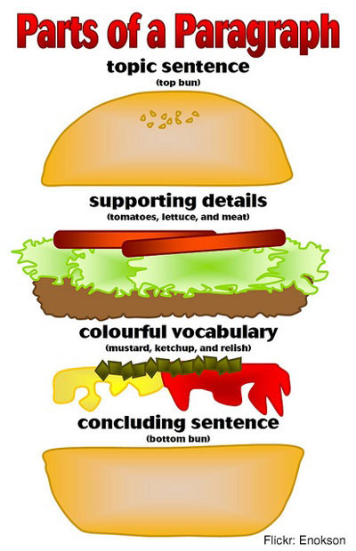 Structure of a paragraph