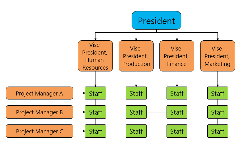 matrix organizational structure